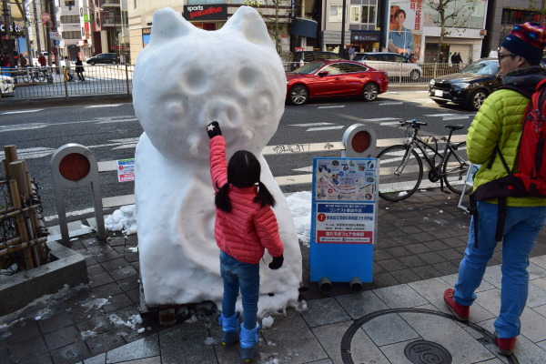 可愛らしいイノシシですね