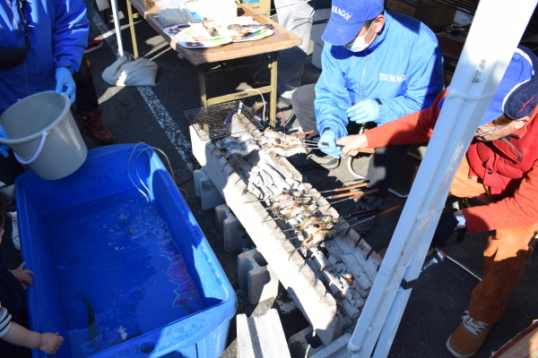 目の前の水槽で泳いでいるイワナを焼きます